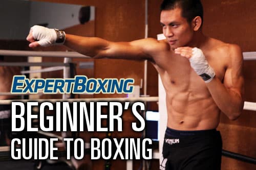 beginners guide to boxing