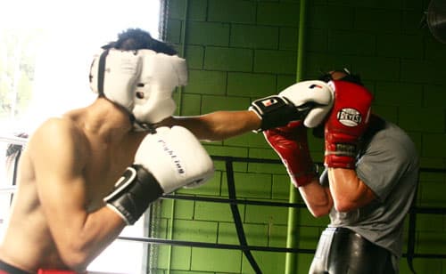 Art of Light Punches Art of Light Punches