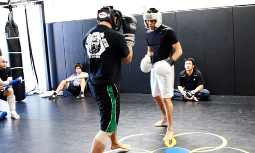 fighters-should-learn-boxing.jpg