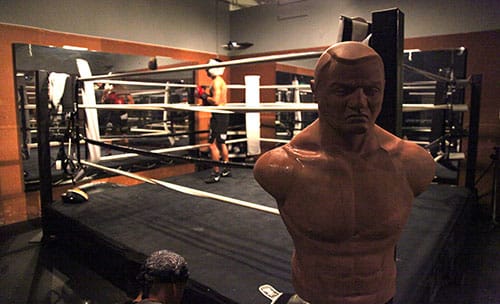 Amateur mma club cinema quickly answered Amateur mma club cinema really